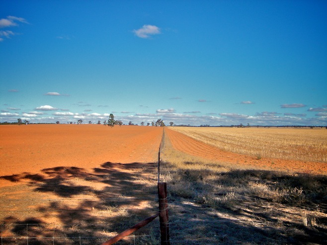 Dry Fields